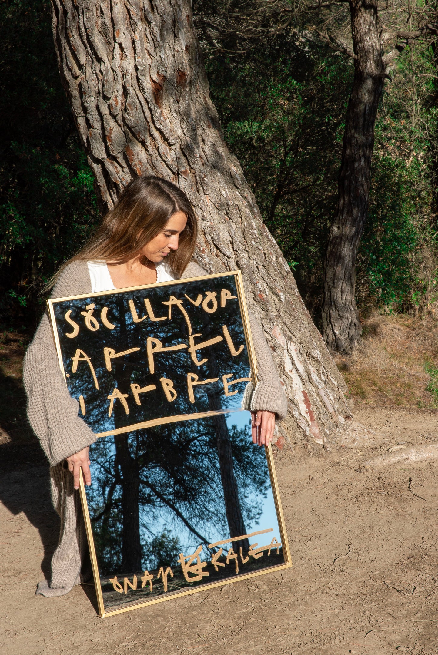 Sóc llavor, arrel i arbre